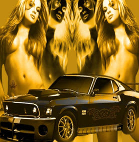 Limousine Escorts in Jaipur